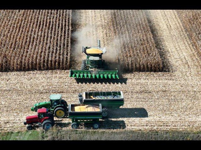 Harvesting (Combining) Corn for 4 Hours.(ASMR)