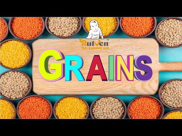 Names of Grains / Grains Names in English / Names of Grains with pictures - - Rutvway