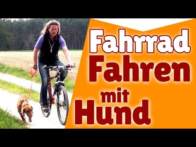 ►►► Fahrradfahren mit Hund  Wie du Radfahren mit Hund auf jedem Gelände trainierst ! 