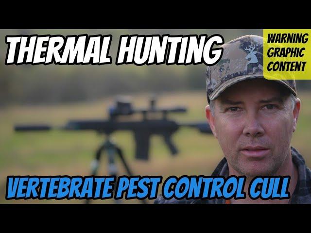 Thermal Hunting || Shooting Pest Control Cull || Thermion 2 LRF XL50 || 308Win WT25 Rifle