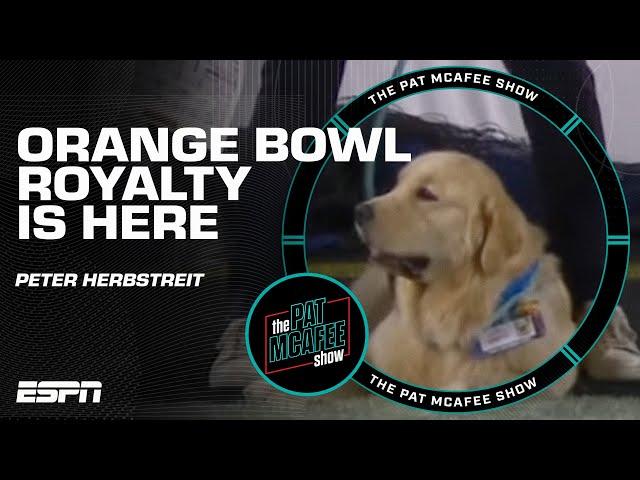 ROYALTY IS HERE  Peter Herbstreit, THE retriever of the Orange Bowl  | Field Pass with Pat McAfee