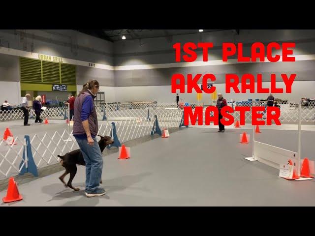 Doberman 1St Place in AKC Rally Master