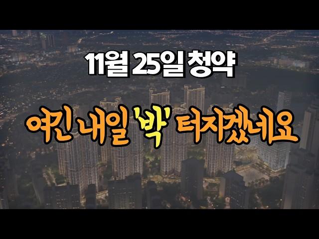 11월 25일 청약 | 경쟁률 확인 크으...