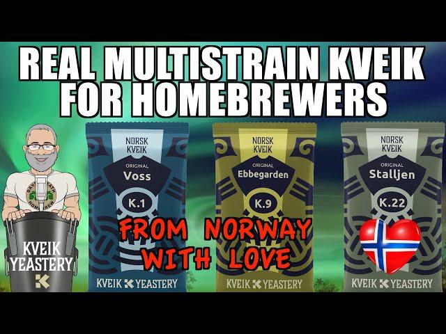 Real Multistrain Kveik From Norway For HomeBrewers