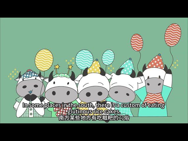 小雪节气：初雪飘落的中国传统文化 Light Snow: The First Flakes of Chinese Tradition #china #culture