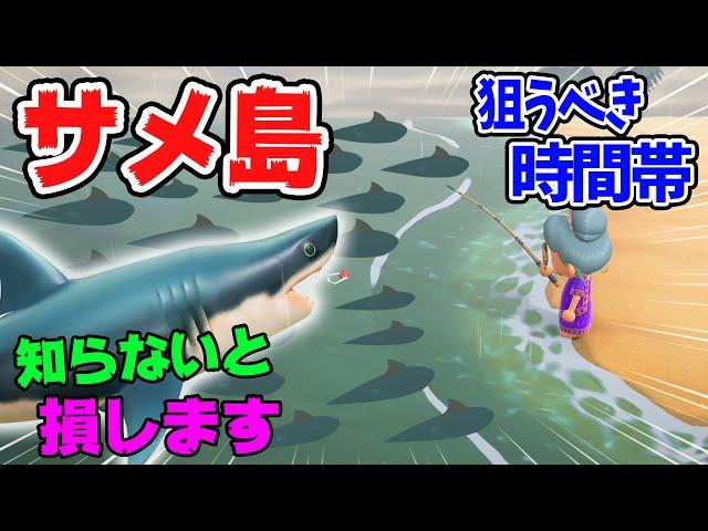 【あつ森】サメ島への行き方や時間帯を紹介！背びれのある魚影から釣れるサメの種類や値段、釣り方を解説します！超低確率でしか行けない背びれ島を狙うべき季節や時期【あつまれどうぶつの森　魚図鑑】