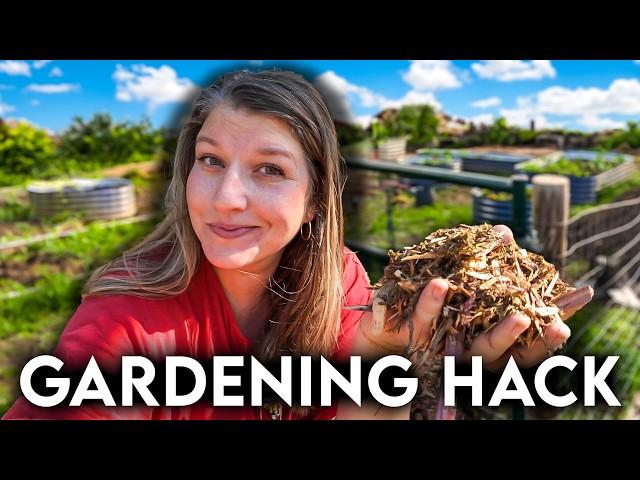 You've Been Winterizing Your Garden Beds Wrong The Entire Time!