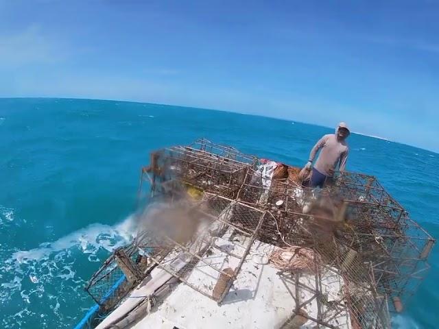 . mais um dia de trabalho na pesca artesanal da lagosta  mais um dia que Deus nos abençoe