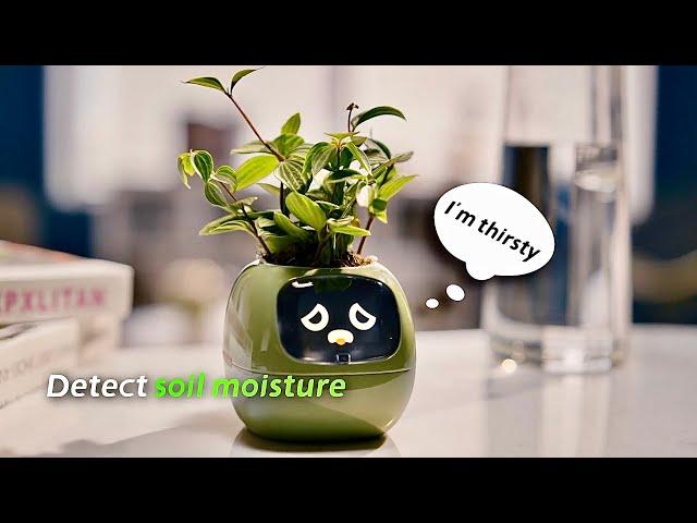 Smart Planter With Emotions Tells You What Your Plant Needs ~ PlantsIO Ivy