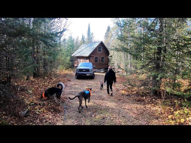 Off-Grid Cabin Deep Clean, Moving to the Property