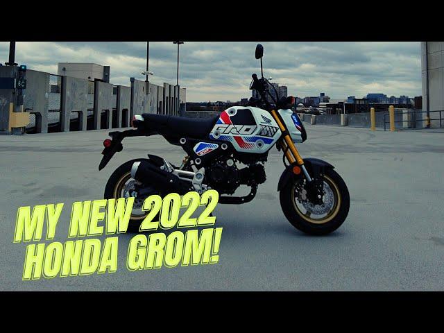 2022 Honda Grom - A Harley Riders First Ride and Impressions