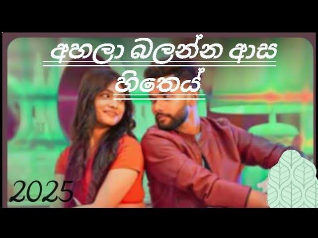 Ketharina song 2025  Trending song 