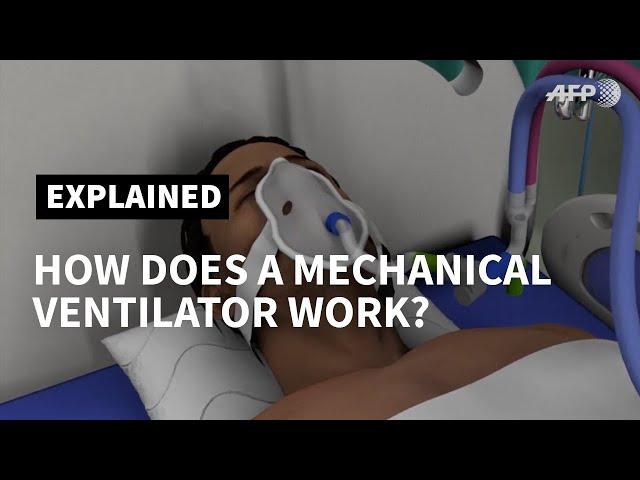 How a mechanical ventilator works | AFP