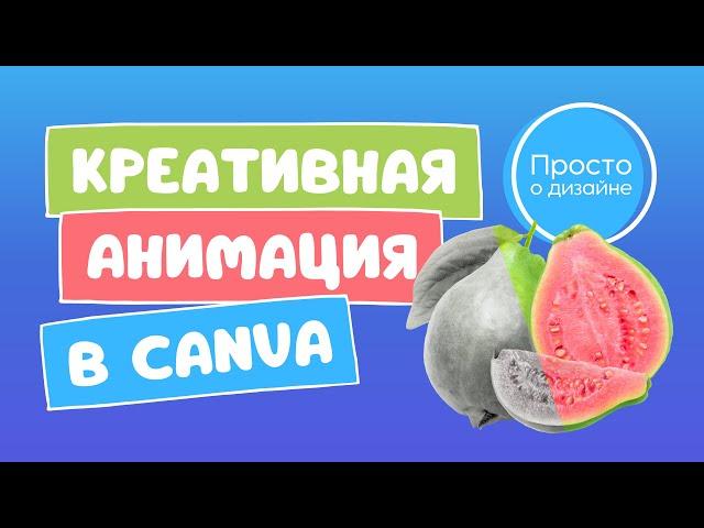 Креативная анимация текста, фото и элементов в Canva: так видеопереходы вы ещё не использовали!