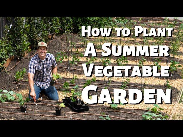 How To Plant A Vegetable Garden