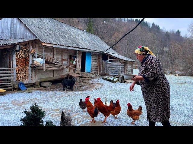 Rural life, cooking borscht and pies with cheese