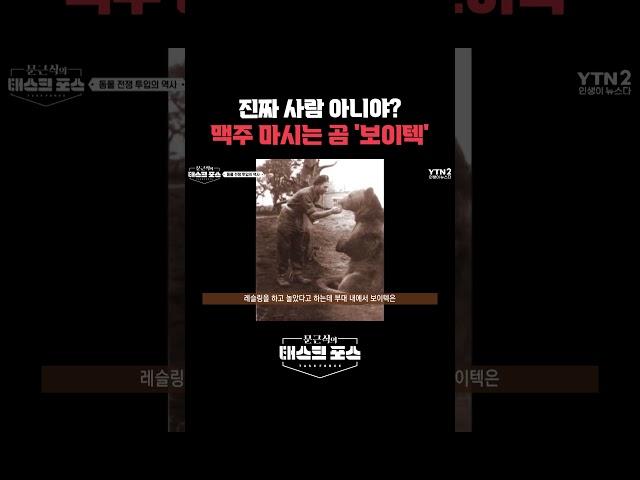 진짜 사람 아니야? 맥주 마시는 곰 '보이텍'