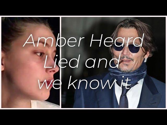 Amber Heard Didn't Use Logic When Falsely Accusing Johnny Depp