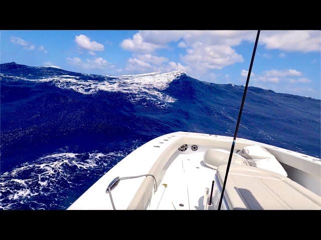 42 Freeman Catamaran vs 6-8 foot waves! Dolphinfish Catch clean Cook