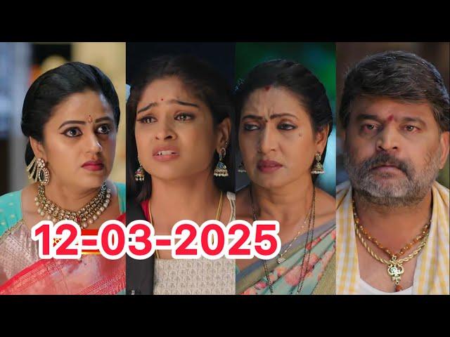 Illu Illalu Pillalu serial Today Episode 12-03-2025