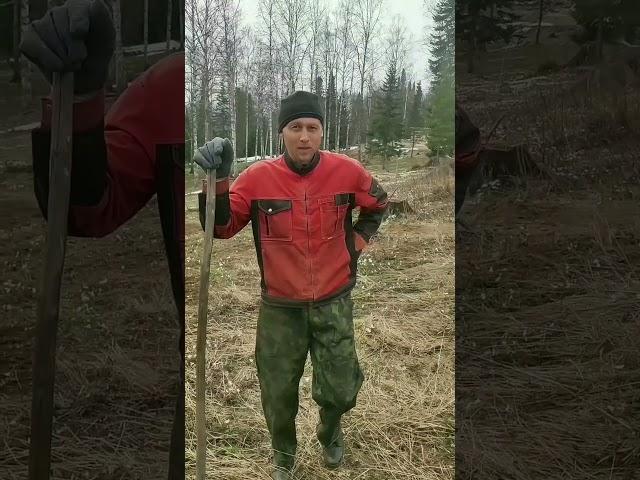 Освоение земли под покосы 🪓 