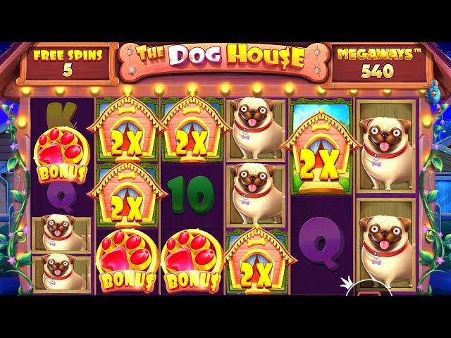 СЛОВИЛ УЛЬТРА ЗАНОС В БОНУСЕ ЗА 160К! ЗАНОСЫ В THE DOG HOUSE MEGAWAYS / ЗАНОСЫ НЕДЕЛИ