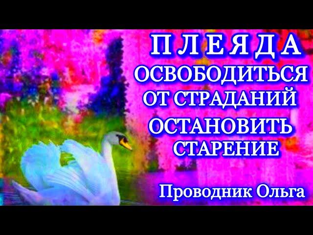 ПЛЕЯДА. ОСВОБОДИТЬСЯ ОТ СТРАДАНИЙ ОСТАНОВИТЬ СТАРЕНИЕ ️@novoe_probujdene_chelovchestva