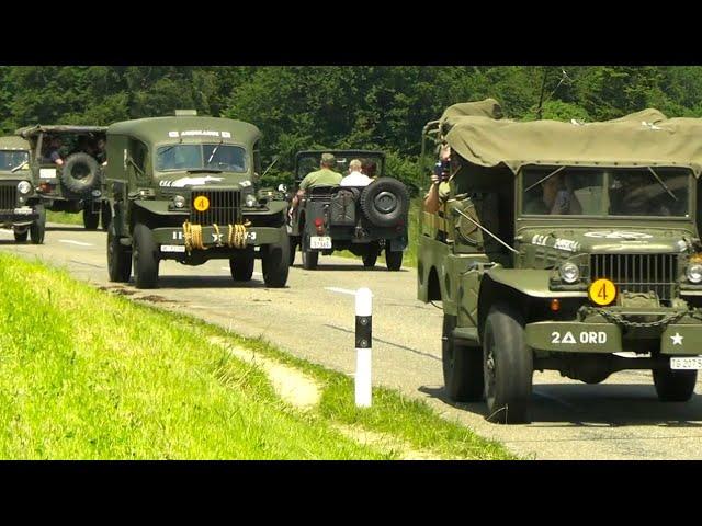 D-Day Sisseln 2023 Convoy | Dodge WC 54, WC 53 Carryall, Willys Jeep MB, Kaiser, Pinzgauer 710, 712