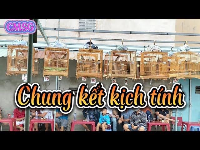 Chung kết thi chào mào hót đấu 5.1.2023