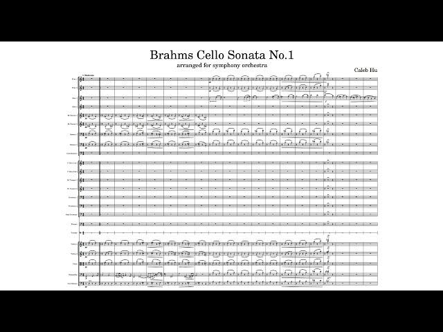 Brahms Cello Sonata No.1 - Orchestration (Caleb Hu)