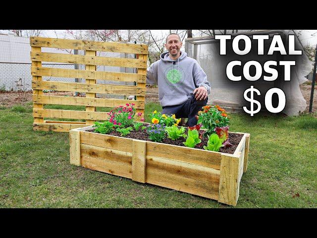 How to Build a Mini RAISED BED Using ONE PALLET, FREE Backyard Gardening!