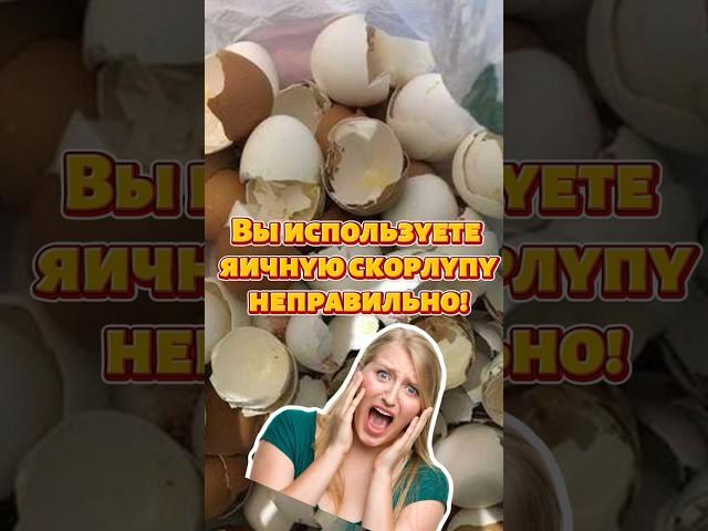 Вы используете яичную скорлупу неправильно!!! #огород #дача #подкормка #урожай #яичнаяскорлупа