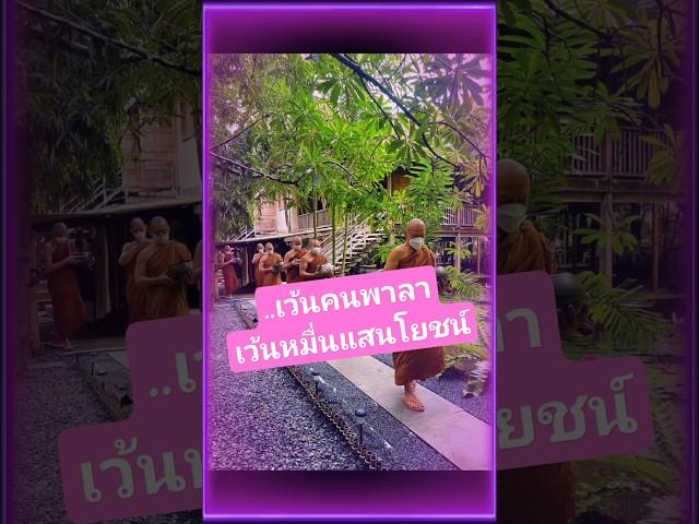 อย่าคบคนพาล #ธรรมะ #พุทธวจน #พระอาจารย์คึกฤทธิ์ #วัดนาป่าพง #สาธุ #นกพรทิพย์