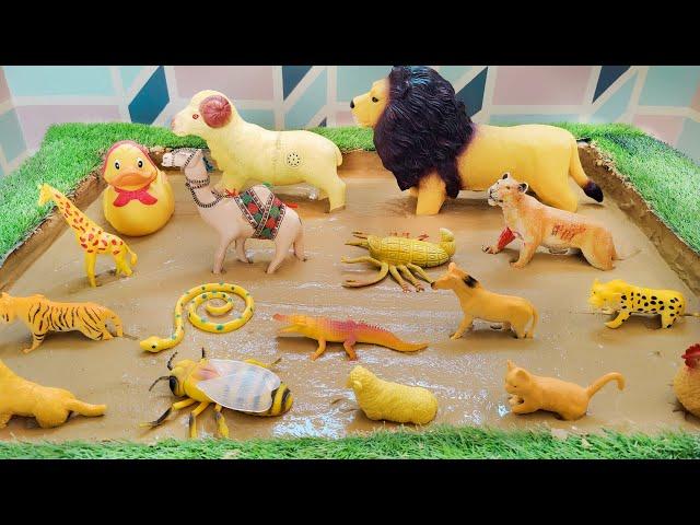 Golden Wonders: Fascinating Lives of Yellow Animals Around the World Stuck in Mud