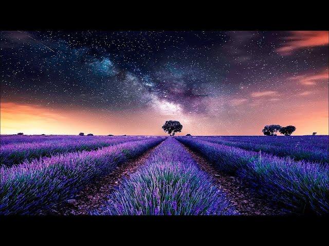 DEEP HEALING SLEEP: Sleep Music • Delta Waves • Calming Music • Meditation Music • Relaxation