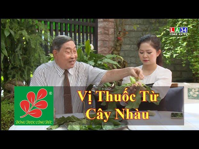 VỊ THUỐC TỪ CÂY NHÀU - Lương Y Nguyễn Công Đức