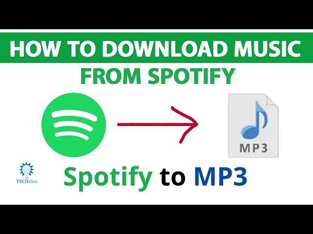 How to Download Music in Spotify 2024 [New Method]