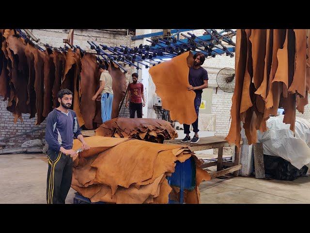 Wonderful Making Process of Pure Leather from Salted Cow Hides | How Skin Leather Made