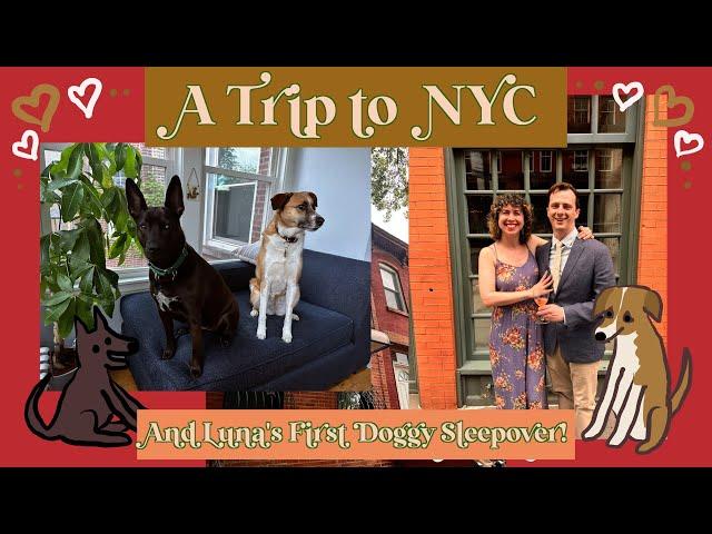 NYC and Luna's First Doggy Sleepover!!