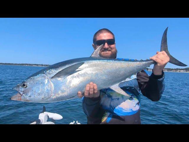 Port Stephens Longtail Tuna fever continues 2024