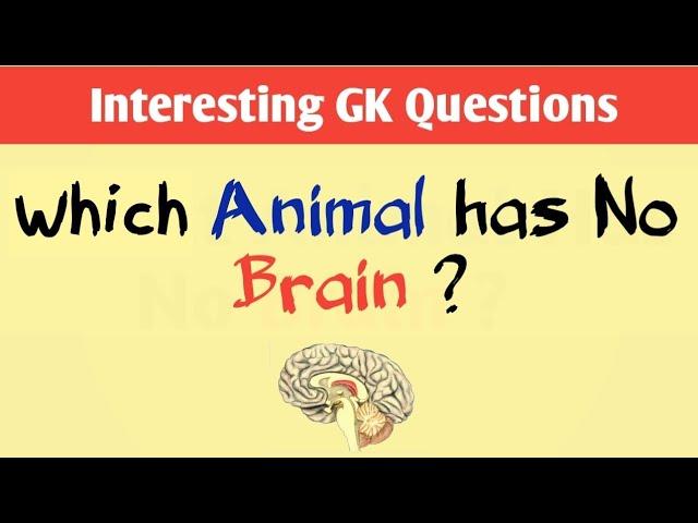 Interesting GK || Interesting GK Questions| GK Questions And Answers