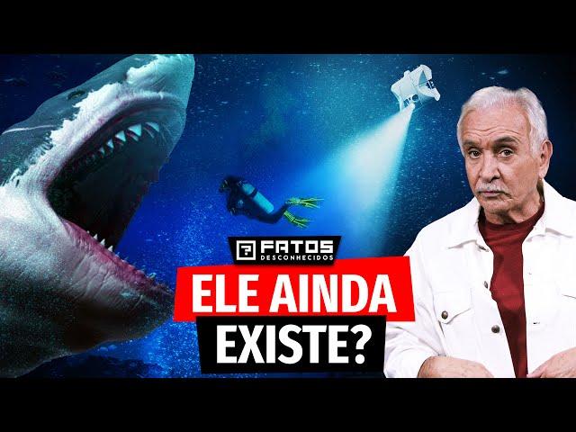 E se o Megalodon estivesse escondido na Fossa das Marianas?