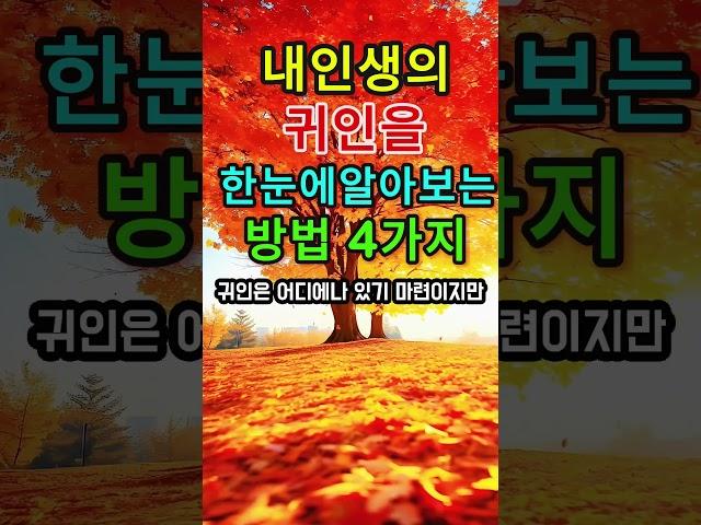 내 인생의 귀인을 한눈에 알아보는 방법 4가지 #명언 #지혜
