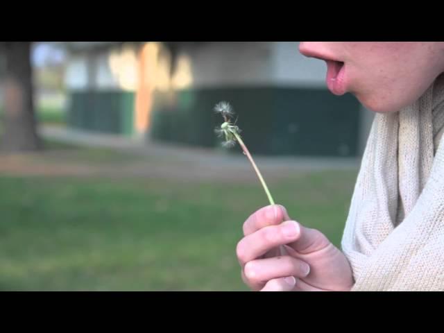 Dandelion Canon 7d Test Footage