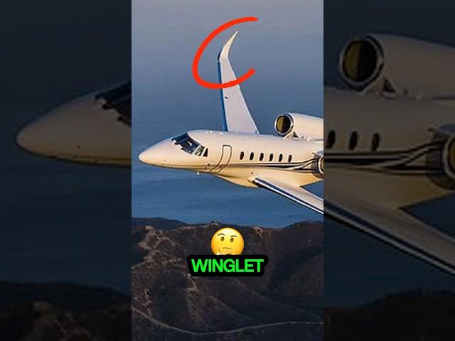 Who is Inventor of Winglet 