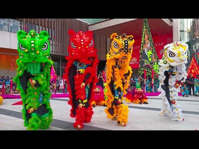 World Dragon & Lion Dance at Lalaport