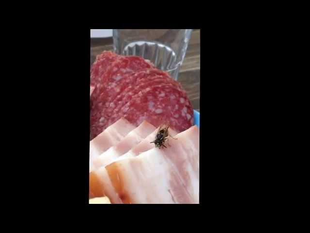 Блядь такая!!!!!