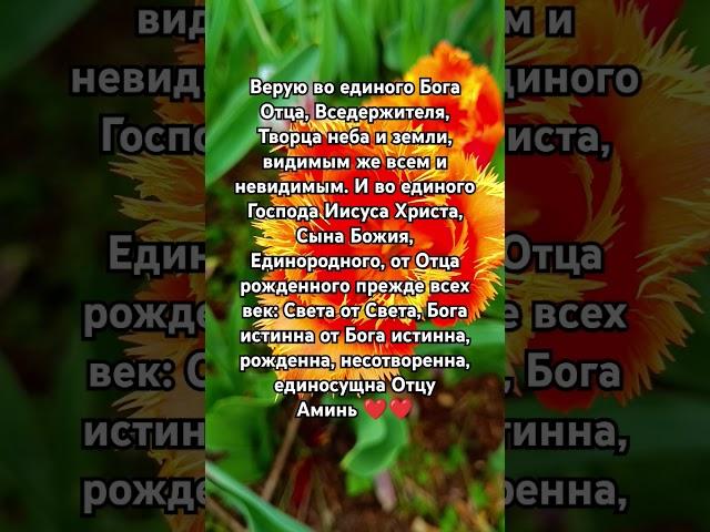 Символ Веры Верую во единого Бога Отца, Вседержителя #псалмы #божья #милост