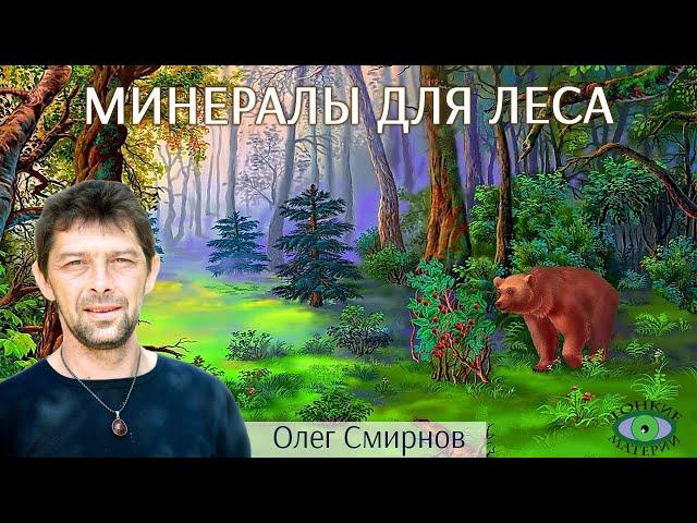 Минералы для взаимодействия с лесом и животными. Литотерапия. Олег Смирнов