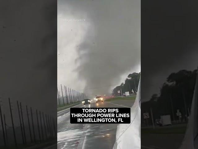 Tornado Rips Across South Florida as Hurricane Milton Charges Forward